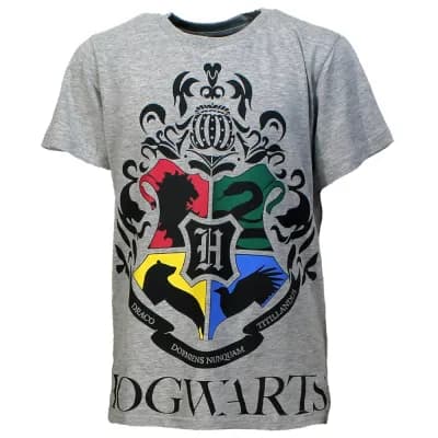 Harry Potter Hogwarts Kids T-Shirt Lichtgrijs