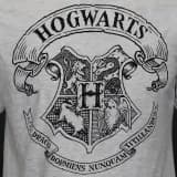 Harry Potter Hogwarts School Embleem T-Shirt Grijs